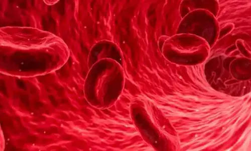 Blood Increasing Diet