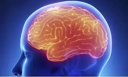 Brain Health Brain Health