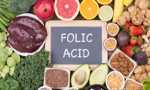 डाइट में शामिल करें Folic acid युक्त पदार्थ मिलेगें ढ़ेर सारे फायदे