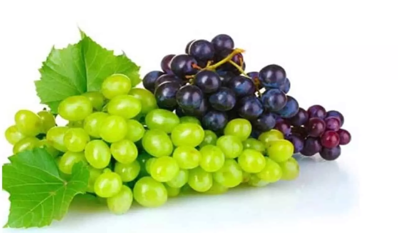 Side Effects of Grapes: अधिक मात्रा में अंगूर का सेवन लाता है शरीर पर प्रतिकूल प्रभाव