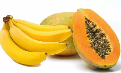 Health care: भूलकर भी पपीते एवं केले का सेवन साथ में ना करें, सेहत को होगा नुकसान Health care: भूलकर भी पपीते एवं केले का सेवन साथ में ना करें, सेहत को होगा नुकसान