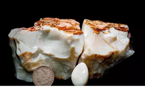 Americus Australis Value: ईंट जितने बड़े रत्न की जितनी कीमत में नीलामी हुई है वो जानकर आपका माथा ठन्ना जाएगा Americus Australis Value: ईंट जितने बड़े रत्न की जितनी कीमत में नीलामी हुई है वो जानकर आपका माथा ठन्ना जाएगा