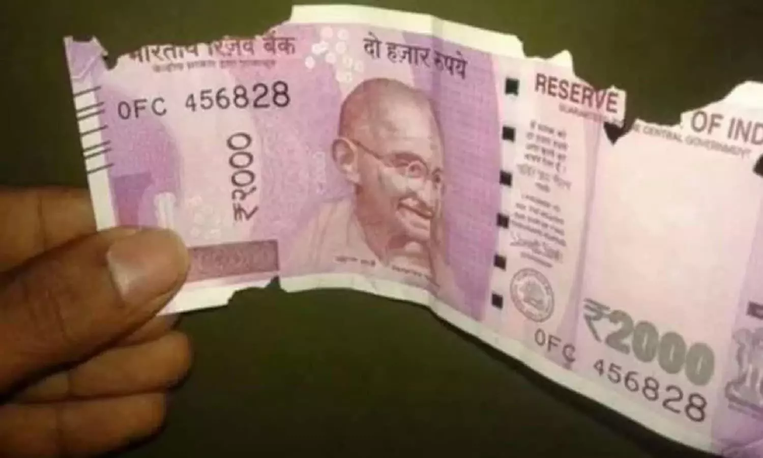 क्या कटे-फटे और भीगे नोटों को बदला जा सकता है? जानें RBI के नियम