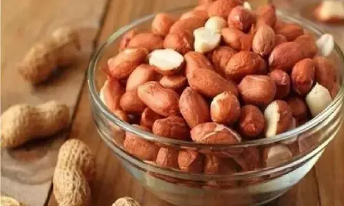 Peanuts in fasting: व्रत में मूंगफली क्यों खाया जाता है, कारण हैरान करने वाले है? Peanuts in fasting: व्रत में मूंगफली क्यों खाया जाता है, कारण हैरान करने वाले है?