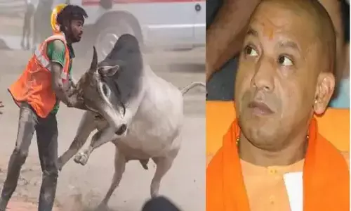 योगी की सांड रैली: किसानों ने योगी की सभा में हज़ारों सांड छोड़ कर कांड कर दिया, पुलिस इसी में बितुती रही योगी की सांड रैली: किसानों ने योगी की सभा में हज़ारों सांड छोड़ कर कांड कर दिया, पुलिस इसी में बितुती रही