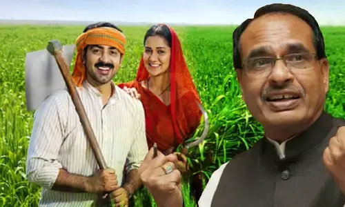 MP MSP Moong Urad Khareedi MP MSP Moong Urad Khareedi