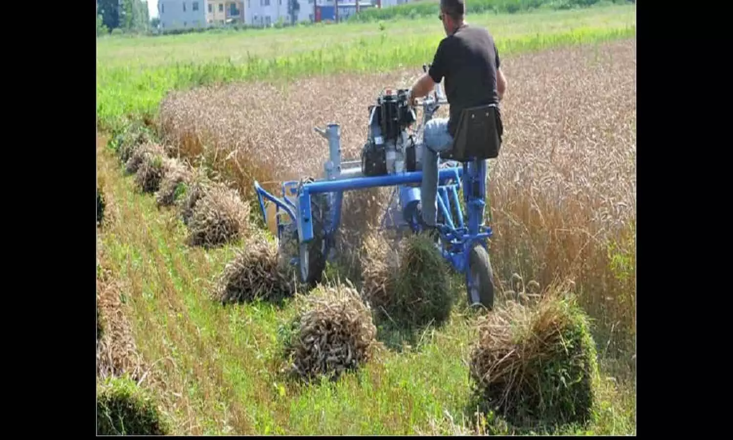 Agricultural Machinery: नजदीक आ रहा गेहूं की कटाई का समय, किसान भाई करें इन छोटे कृषि यंत्रों की खरीदी