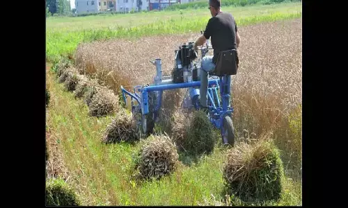 Agricultural Machinery: नजदीक आ रहा गेहूं की कटाई का समय, किसान भाई करें इन छोटे कृषि यंत्रों की खरीदी