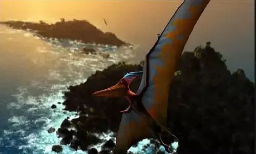 यहाँ मिली उड़ने वाली छिपकली, इनके बारे में जान चौक जाएंगे आप!