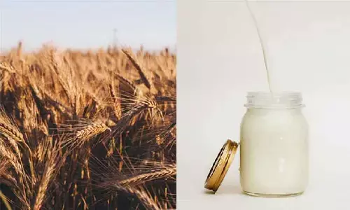 Government Schemes: इस योजना में सरकार देगी 1 रूपये में गेहूं और 2 में दूध ,जानिए!