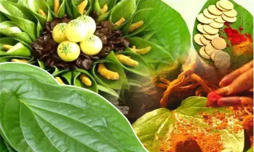 Paan Ke Patton Ka Totka: पान का पत्ता से टोटका करने के बाद आपके साथ होने लगेगा कुछ ऐसा, जानिए