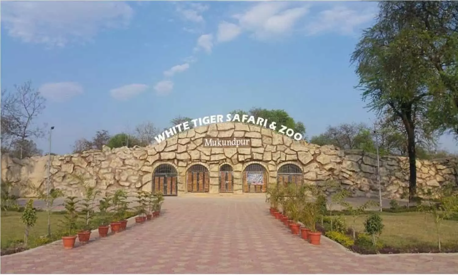 रीवा की चमकेगी 14 सड़कें, टाइगर सफारी का सुगम होगा मार्ग, सरकार ने दिए बजट