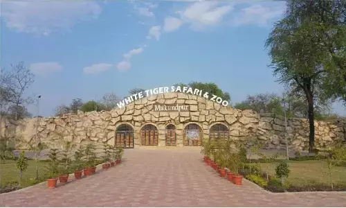 रीवा की चमकेगी 14 सड़कें, टाइगर सफारी का सुगम होगा मार्ग, सरकार ने दिए बजट