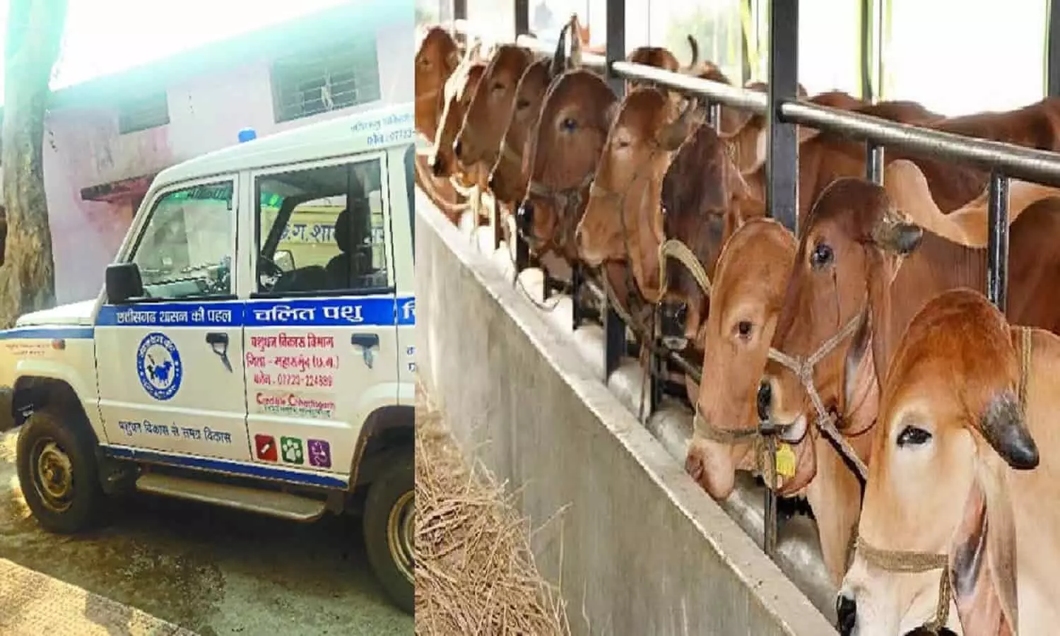 MP Pashu Ambulance Service