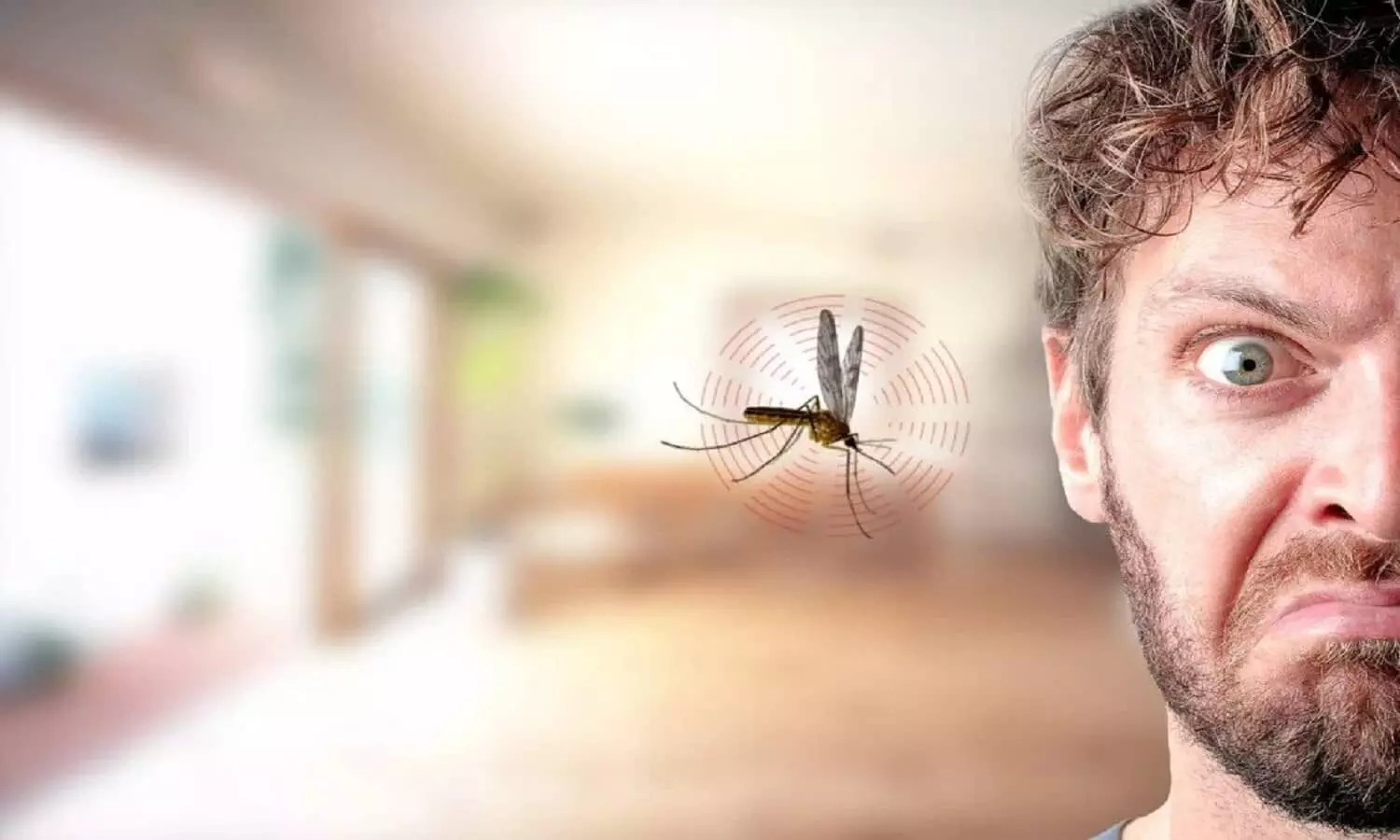 mosquito facts in hindi