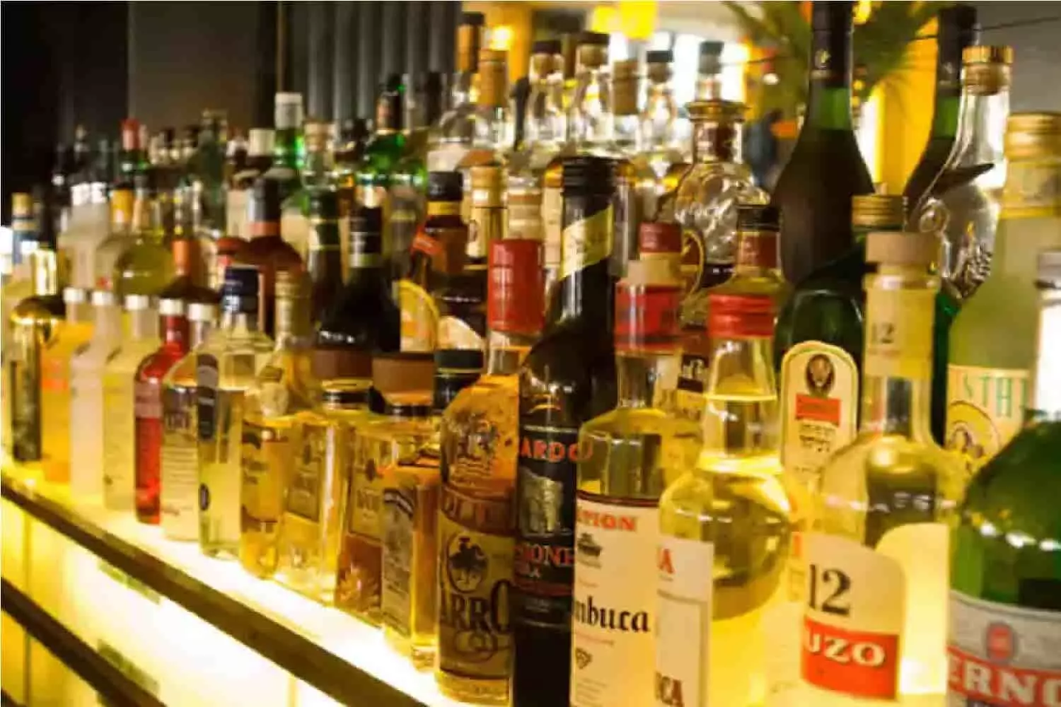 Liquor Store: शराब की दुकानों को लेकर एमपी सरकार का बड़ा, बंद होगी सभी दुकाने