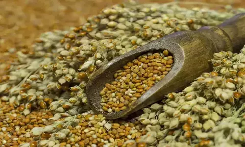 UN Year Of Millets 2022