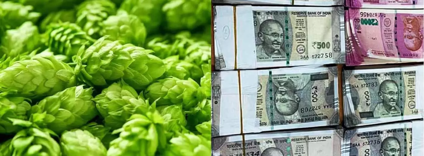 ये है दुनिया की सबसे महंगी सब्जी, इसकी कीमत 80000 रुपये किलो