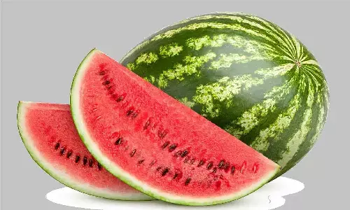 गर्मियों में तरबूज खाते समय रखे सावधानी, नहीं तो सकती है दुर्घटना गर्मियों में तरबूज खाते समय रखे सावधानी, नहीं तो सकती है दुर्घटना