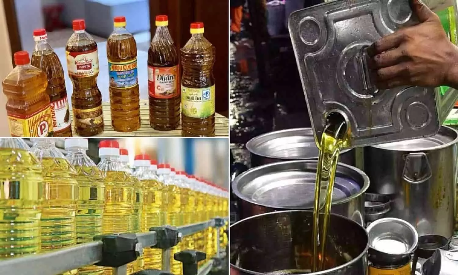 Mustard Oil Latest Price Update