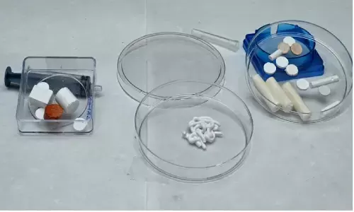 IIT कानपूर के स्टूडेंट्स ने बनाया टूटी हड्डी को जोड़ने वाला इंजेक्शन, कैसे काम करेगा