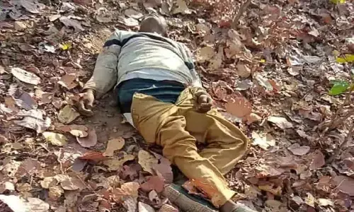 हाथियों ने मचाई दहशत, पति-पत्नी को कुचल कर सुला दिया मौत की नींद