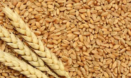 स्वतंत्रता की 75 वीं वर्षगाँठ पर सरकार की बड़ी तैयारी, 5 करोड़ लोगो को मिलेगा लाभ स्वतंत्रता की 75 वीं वर्षगाँठ पर सरकार की बड़ी तैयारी, 5 करोड़ लोगो को मिलेगा लाभ