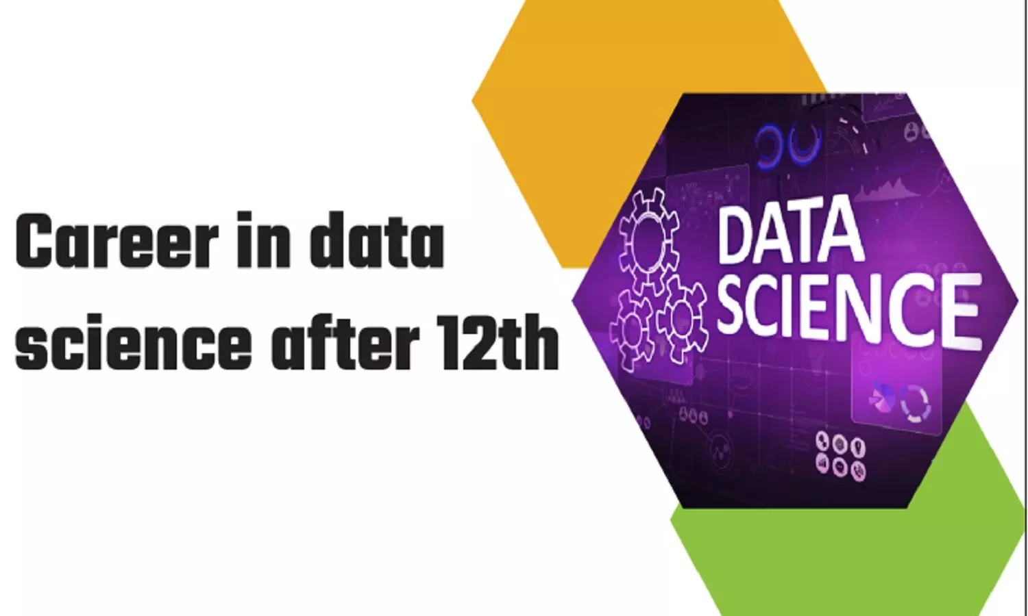 Best Course To Do After 12th: 12वीं के बाद बेस्ट कोर्स के लिए हो परेशान? थोड़ा इधर नज़रे घुमा लो मेरी जान Best Course To Do After 12th: 12वीं के बाद बेस्ट कोर्स के लिए हो परेशान? थोड़ा इधर नज़रे घुमा लो मेरी जान