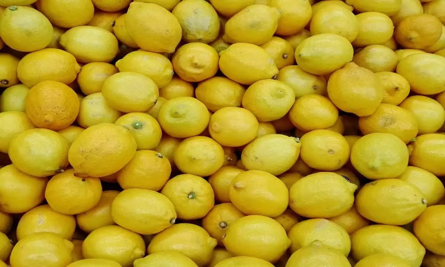 Lemon Update: नींबू को लेकर बड़ा ऐलान, 138 करोड़ लोगो के लिए बड़ा अपडेट
