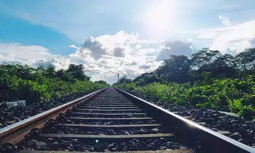 Rewa MP News Rewa MP News