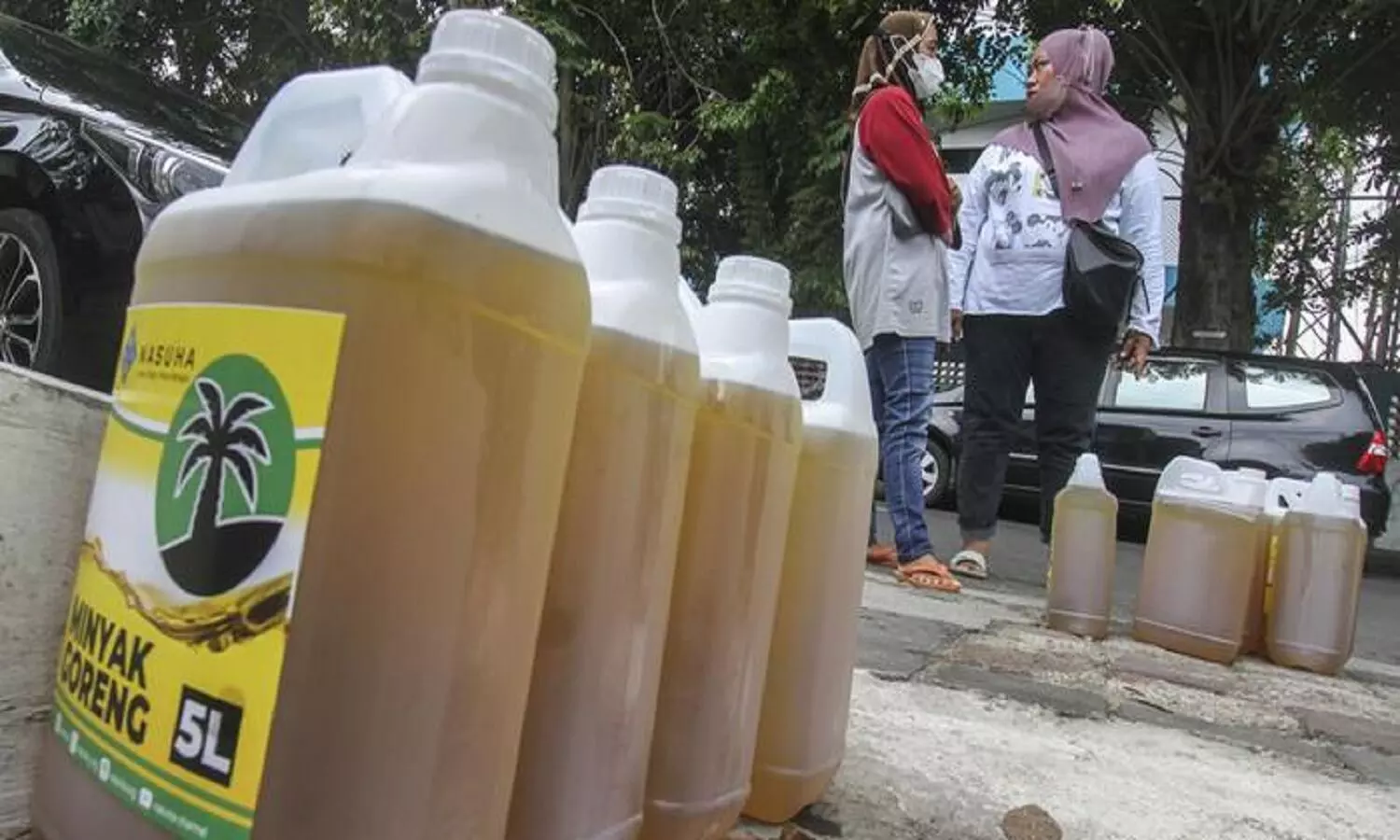 देश में बढ़ेंगी खाद्य तेल की कीमतें: इंडोनेशिया ने पाम आयल के निर्यात में बैन लगा दिया