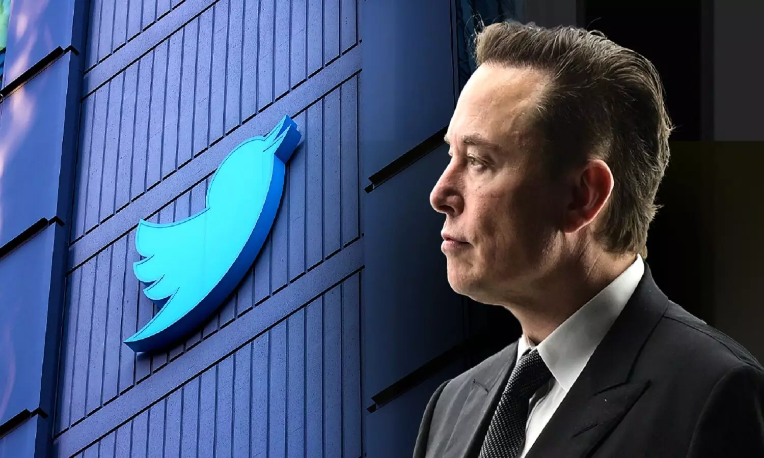 क्या ट्विटर बिकने वाला है? Elon Musk के 3273.44 अरब रुपए के ऑफर को Twitter स्वीकार कर सकता है!