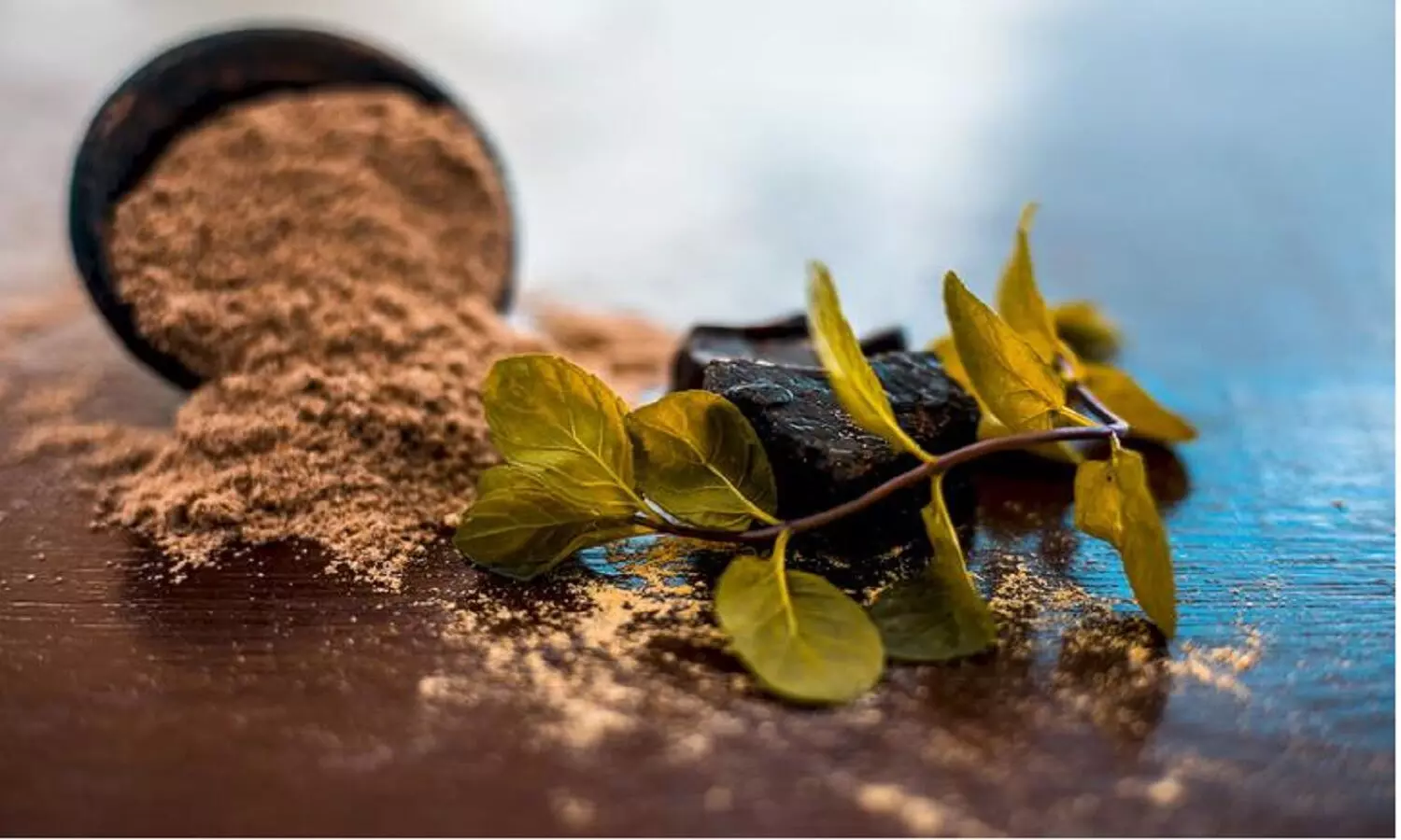 हींग की खेती: भारत में सबसे ज़्यादा खपत होने के बाद भी हींग की खेती क्यों नहीं होती हींग की खेती: भारत में सबसे ज़्यादा खपत होने के बाद भी हींग की खेती क्यों नहीं होती