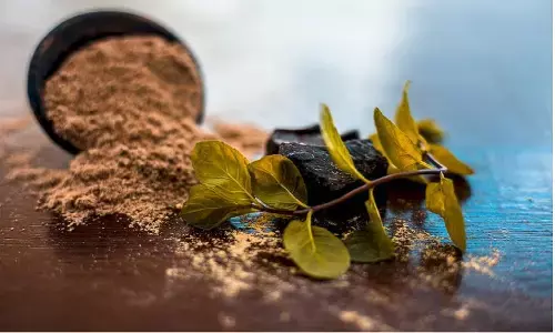 हींग की खेती: भारत में सबसे ज़्यादा खपत होने के बाद भी हींग की खेती क्यों नहीं होती