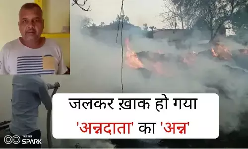 रीवा में आग ने किसान को किया पूरी तरह से बर्बाद, 16 एकड़ की फसल जल कर राख रीवा में आग ने किसान को किया पूरी तरह से बर्बाद, 16 एकड़ की फसल जल कर राख