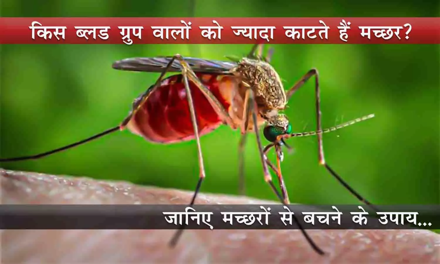Know ways to avoid mosquitoes...