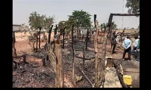 rewa mp news rewa mp news