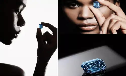 Blue Diamond Auction: करोड़ो साल धरती के अंदर दफन रहे ब्लू डाइमंड की नीलामी 373 करोड़ में हुई