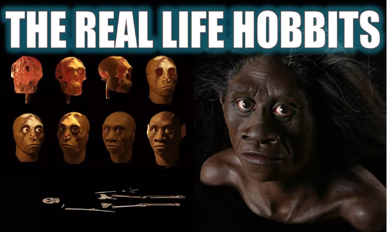 Are There Real Hobbit Humans: दुनिया में हम अकेले इंसान नहीं है, ह्यूमंस की दूसरी प्रजाति आज भी जिंदा है