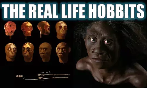 Are There Real Hobbit Humans: दुनिया में हम अकेले इंसान नहीं है, ह्यूमंस की दूसरी प्रजाति आज भी जिंदा है