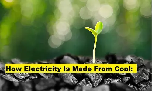 कोयले से बिजली कैसे बनती है: पृथ्वी में इतना सारा कोयला आया कहां से? क्या धरती से कोयला ख़त्म होने वला है