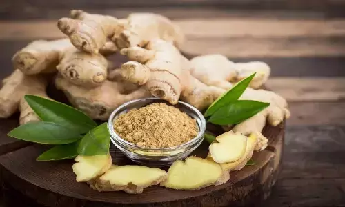 Ginger in summer: गर्मियों में अदरक खाना चाहिए या नहीं जानें इसके फायदे और नुकसान! जानना आपके लिए जरूरी