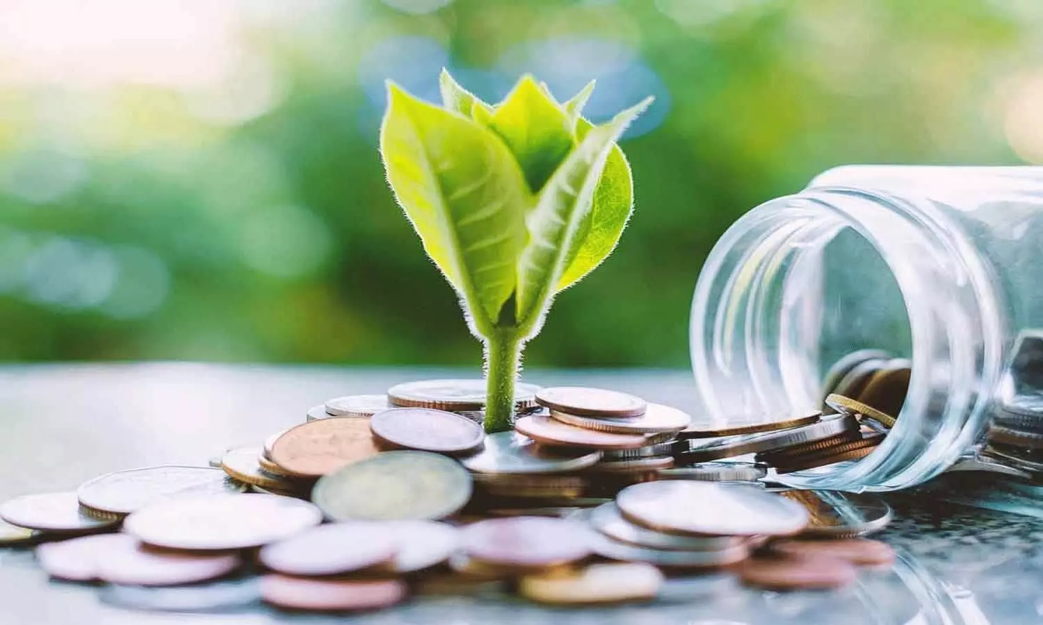 Top Mutual Funds: इन टॉप रैंकिंग वाले म्यूचुअल फंड में करें निवेश, होगा शानदार फायदा