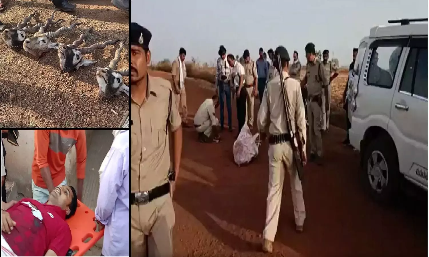 मध्य प्रदेश: गुना में काले हिरण के शिकारियों ने 3 पुलिसकर्मियों की हत्या कर दी, एक शिकारी भी मारा गया