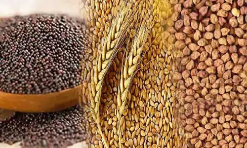 Bihar Sarkar Bij Anudan Yojana