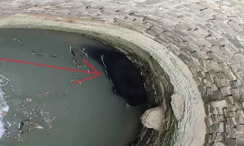 रीवा में भालू को बचाने चला रेस्क्यू, कुएं से निकाला गया सुरक्षित, पानी के लिए भटक रहे वन प्राणी रीवा में भालू को बचाने चला रेस्क्यू, कुएं से निकाला गया सुरक्षित, पानी के लिए भटक रहे वन प्राणी