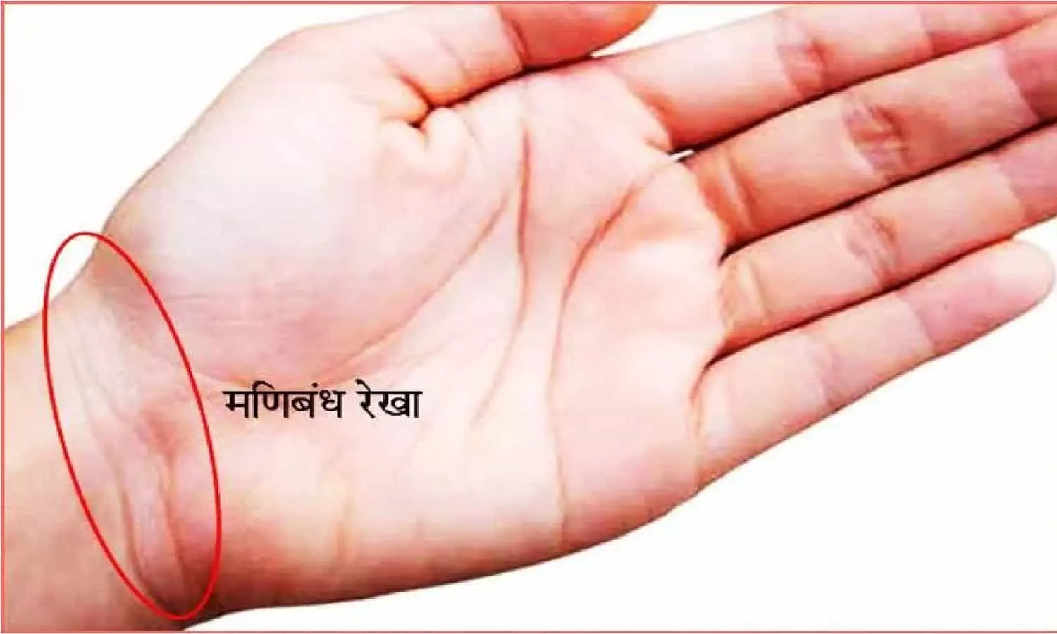 Bracelet Line: हाँथ में मौजूद कलाई की ये रेखा से जाने कितने साल जिएंगे आप? Bracelet Line: हाँथ में मौजूद कलाई की ये रेखा से जाने कितने साल जिएंगे आप?