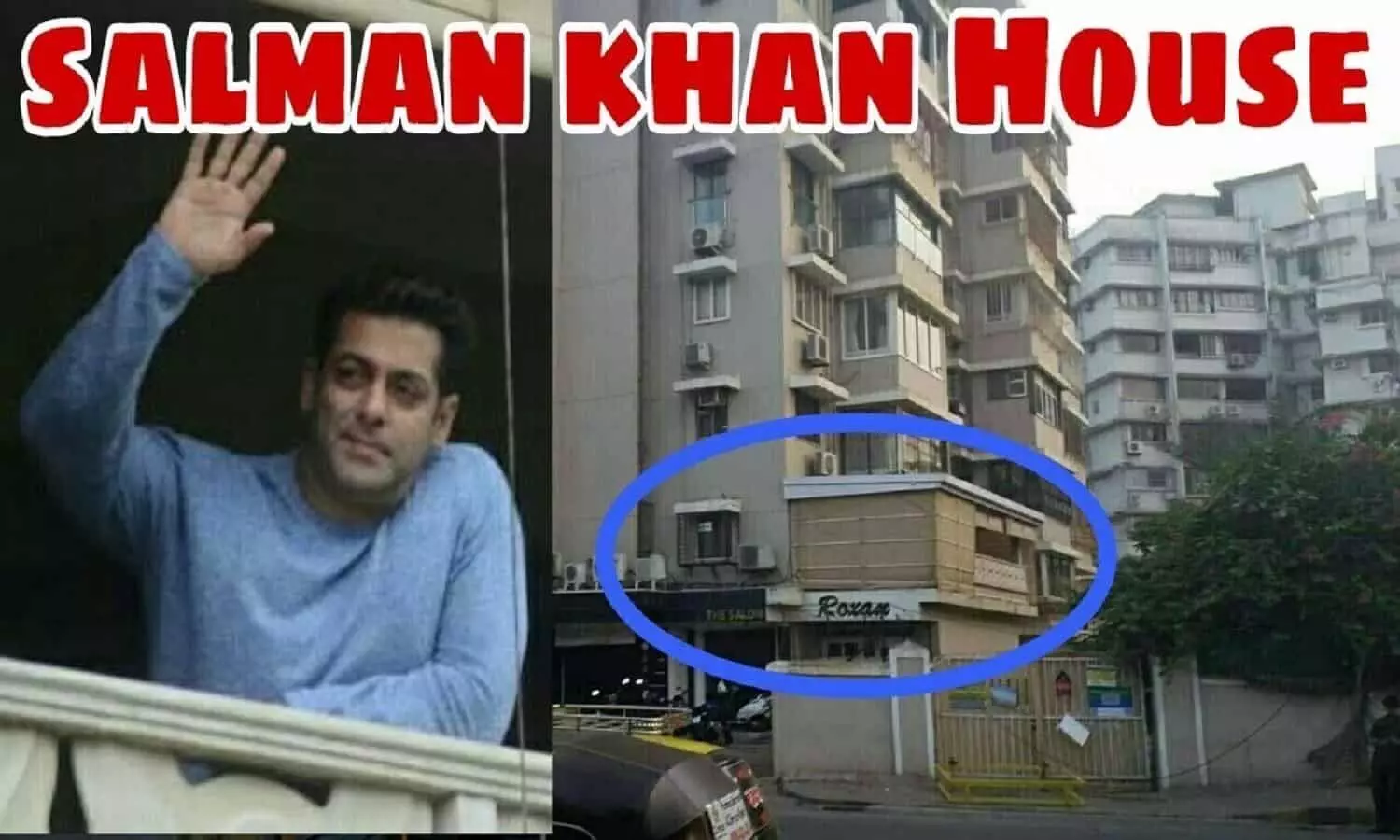 Salman Khan Networth: इतने हजार करोड़ के मालिक हैं सलमान खान, फिर भी रहते है फ्लैट में