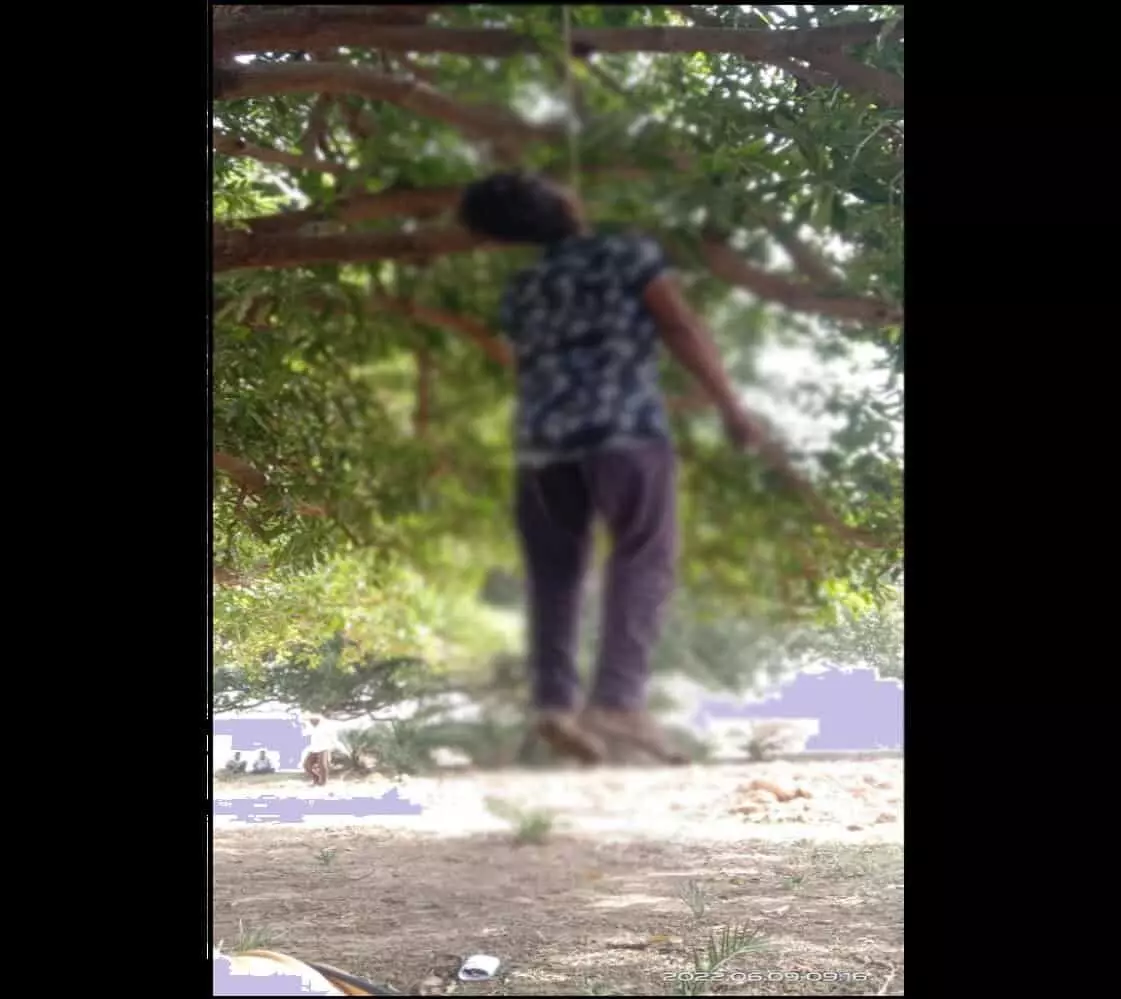 Rewa News: पेड़ में लटकती मिली किशोर की लाश, हत्या की आशंका Rewa News: पेड़ में लटकती मिली किशोर की लाश, हत्या की आशंका