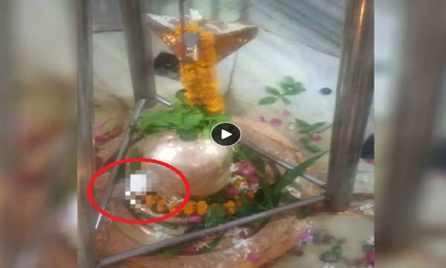 राक्षसों की निकृष्टता: कोटेश्वर महादेव मंदिर शिवलिंग में अंडा फेंका, हिन्दुओं को उकसाने की कोशिश